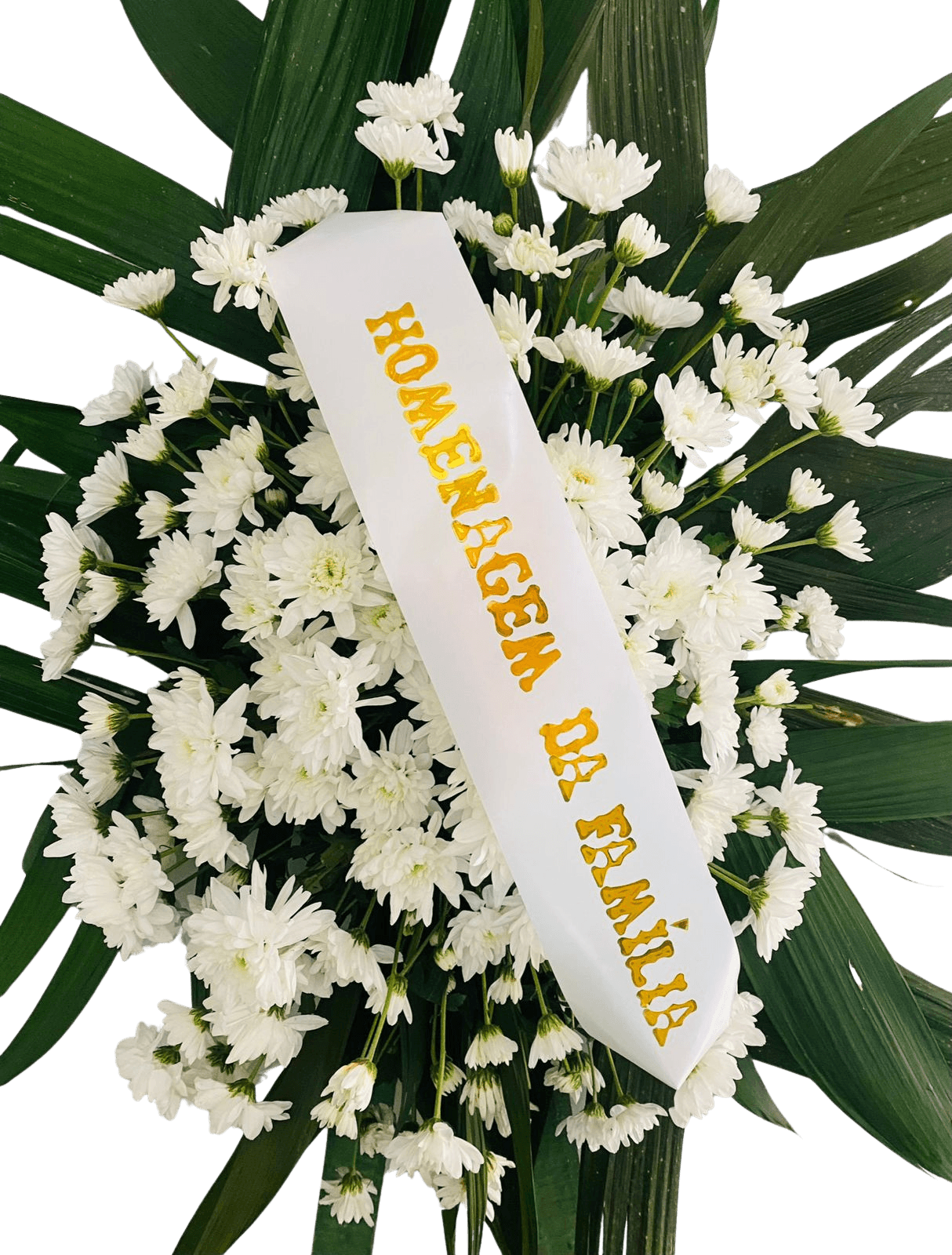 Coroa da Paz — cor Branco e Verde