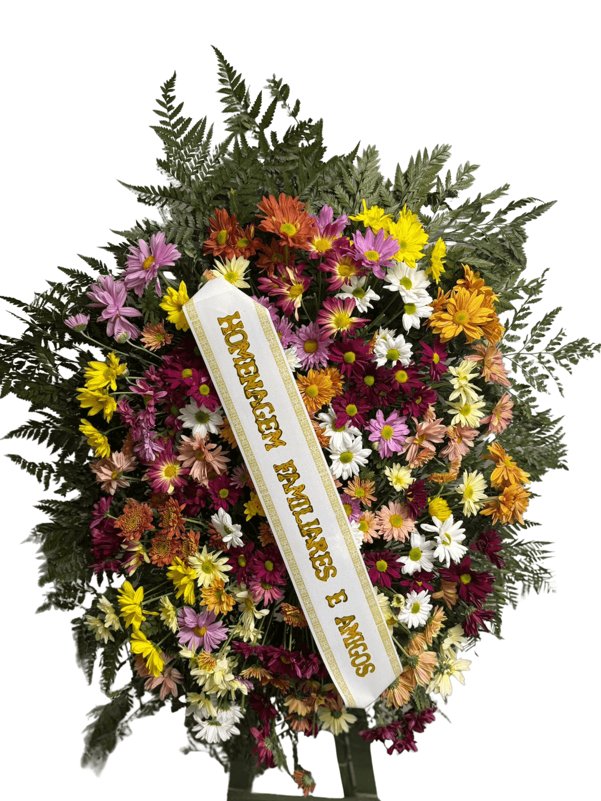 Coroa da Eternidade — cor Colorido